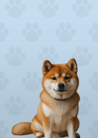 Cute Shibainu Theme B/W 04