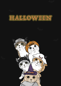 meow's halloween2 / balck