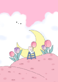 Xuy