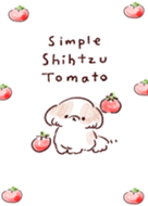 simple Shih Tzu tomato White blue