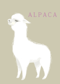 White alpaca