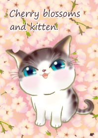 Cherry blossoms and kitten, again
