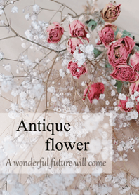 World of Antique dried flower.18