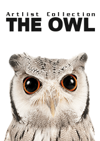 Artlist Collection THE OWL