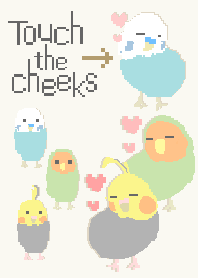 ドットなインコ　ほっぺを触って♡