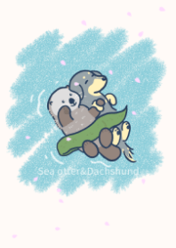 Sea otter&Dachshund-ブラックタン-