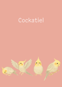 Cute Cockatiel2 pink & blue