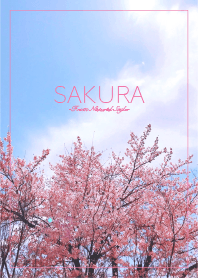 SAKURA 9 / Natural Style