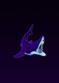 Awesome Megarodon