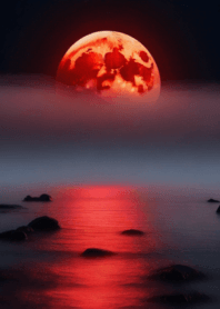 彷徨う妖の赤い月