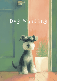 Dog Waiting - schnauzer -