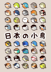 日本の小鳥