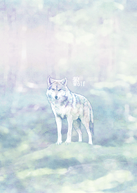 狼/wolf