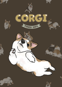 corgicorgi8 / chocolate