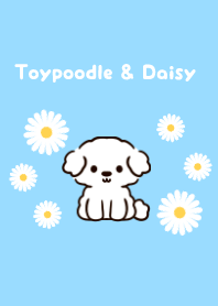 Daisy flower and toy poodle theme.