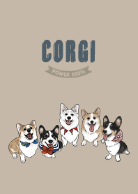 corgicorgi3 / tan