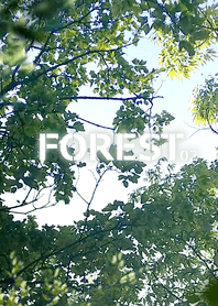FOREST-森林02