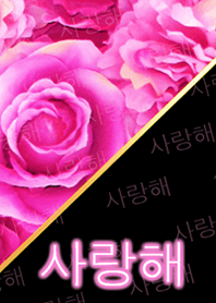 薔薇と韓国語LOVE
