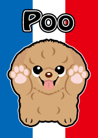 POO