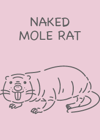 Naked mole rat simple pink