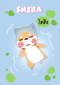 ไออิง ใครไม่บะ ชิบะ 4 V10