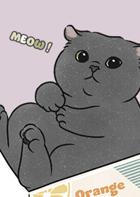 neko single21 / taro