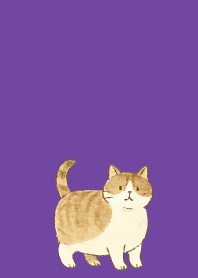 purple 猫は癒してくれる05