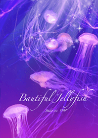 癒しのクラゲ Beautiful Jellyfish