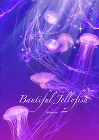 beautiful jellyfish1