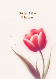 Beautiful Flower-TULIP 5