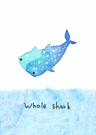 Whale sharks will heal you8.