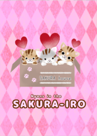 Cherry blossom version of kittens