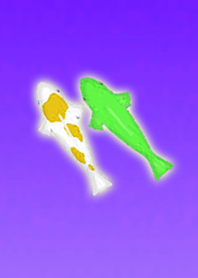 恋を叶える鯉パープル