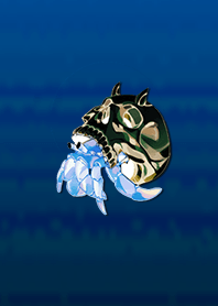Hermit Crab Skull 12