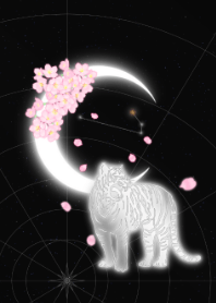 moon zodiac tiger Aries 2023