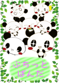 Petit Panda