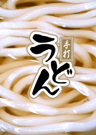 udon noodles