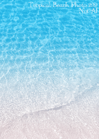 Tropical Beach Photo 299 Not AI