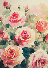 Beautiful rose flower(R4463)