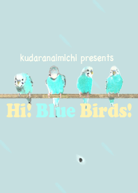 Oi! Pássaro azul do Japão