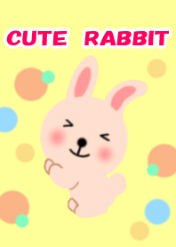 Cute  rabbit