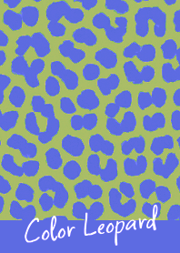 COLOR LEOPARD THEME -33
