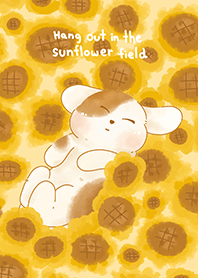Hang out in the sunflower field