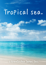 Tropical sea