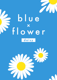 Blue x Flower (daisy)