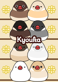 Kyouka Round and cute Java sparrow