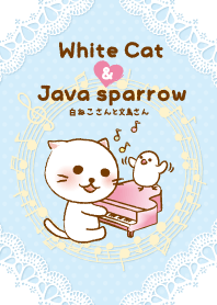 White cat's and Java sparrow,Hamming.