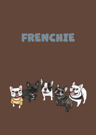 frenchie1 / dark brown