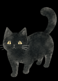 A unique cat04 black JP
