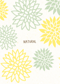 Japanese Gorgeous flowers27 from Japan